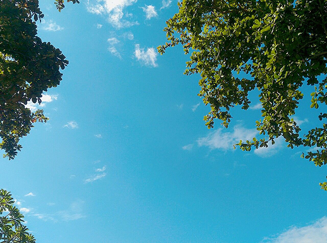 Soạn Sang thu hay nhất 