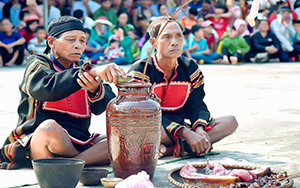 Giáo án Giáo dục địa phương 8 Gia Lai