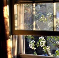 Bài thơ Nắng mới là lời của ai, bộc lộ cảm xúc về ai lớp 8 Cánh Diều