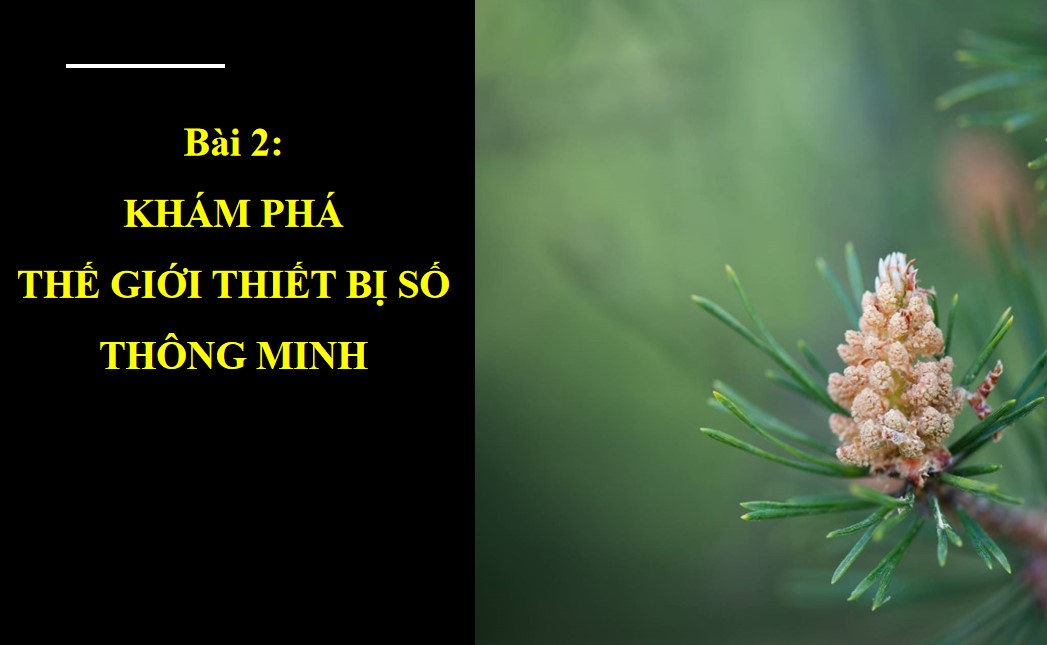 Giáo án PPt Tin học 11 Cánh Diều bài 2