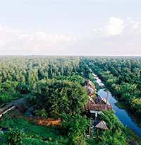 Theo em nhân vật Cò là một cậu bé sinh ra và lớn lên ở đâu? Điều gì khiến em khẳng định như vậy?