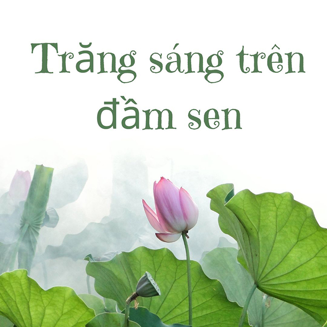 Đoạn văn cảm nhận về cái tôi trữ tình của tác giả trong bài Trăng sáng trên đầm sen