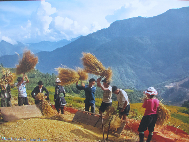 Nêu nội dung bao quát của văn bản Đi san mặt đất Ngữ văn 10