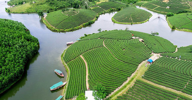 Soạn bài Dọc đường xứ Nghệ