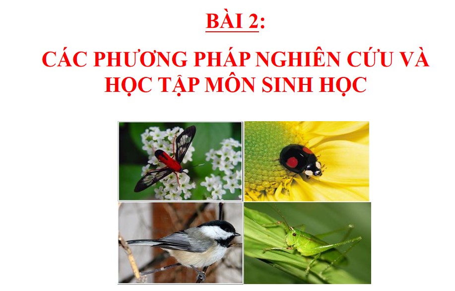 Powerpoint Sinh học 10 Chân trời sáng tạo