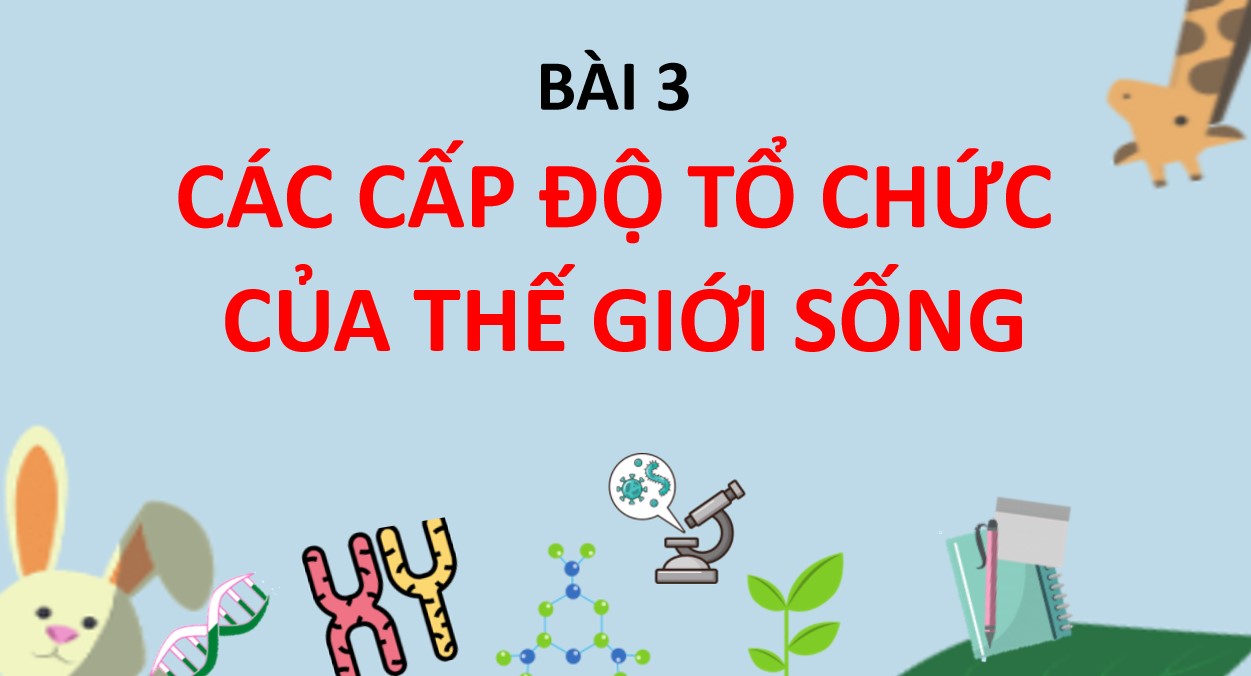 Powerpoint Sinh học 10 Chân trời sáng tạo