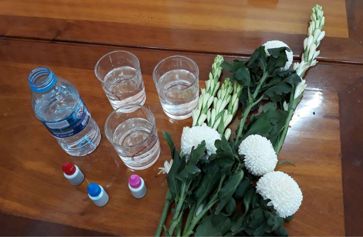 Tải bài giảng STEM Khoa học tự nhiên 8