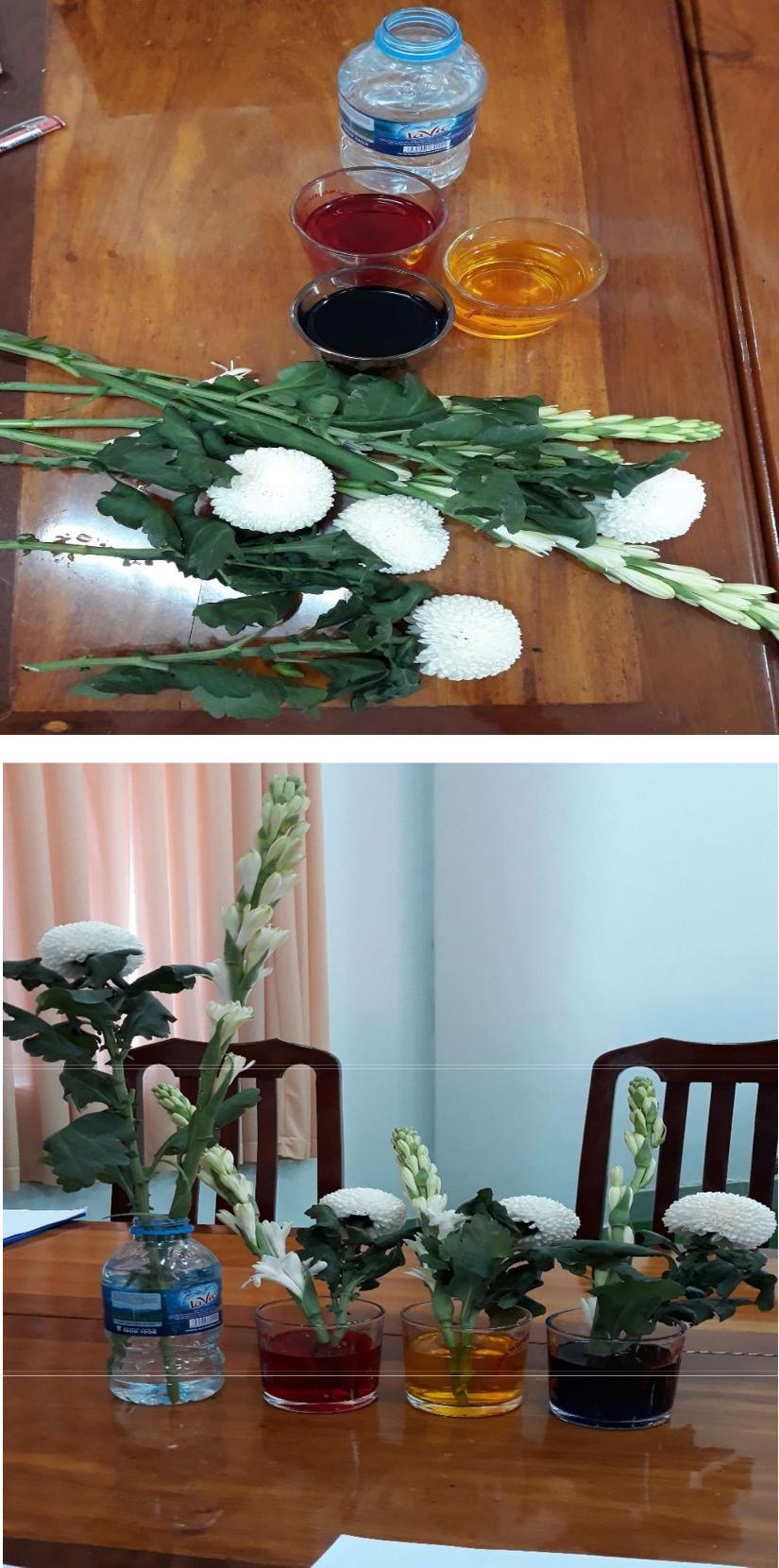 Tải bài giảng STEM Khoa học tự nhiên 8