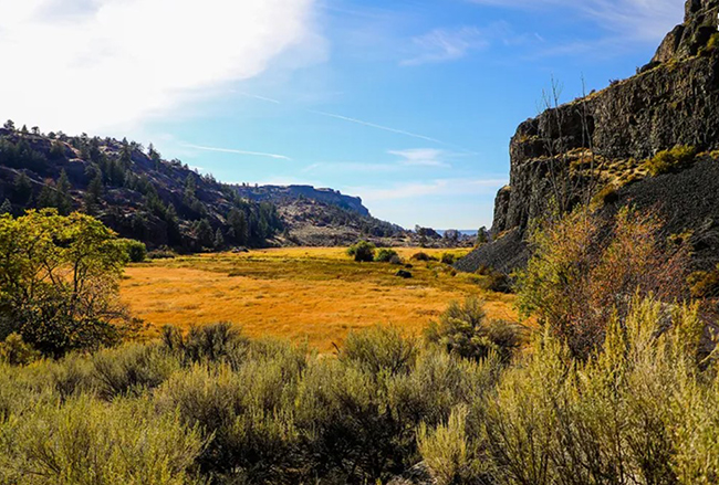 Soạn bài Bức thư của thủ lĩnh da đỏ lớp 8