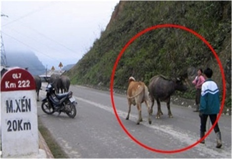 Đáp án cuộc thi Vì an toàn giao thông thủ đô 2023