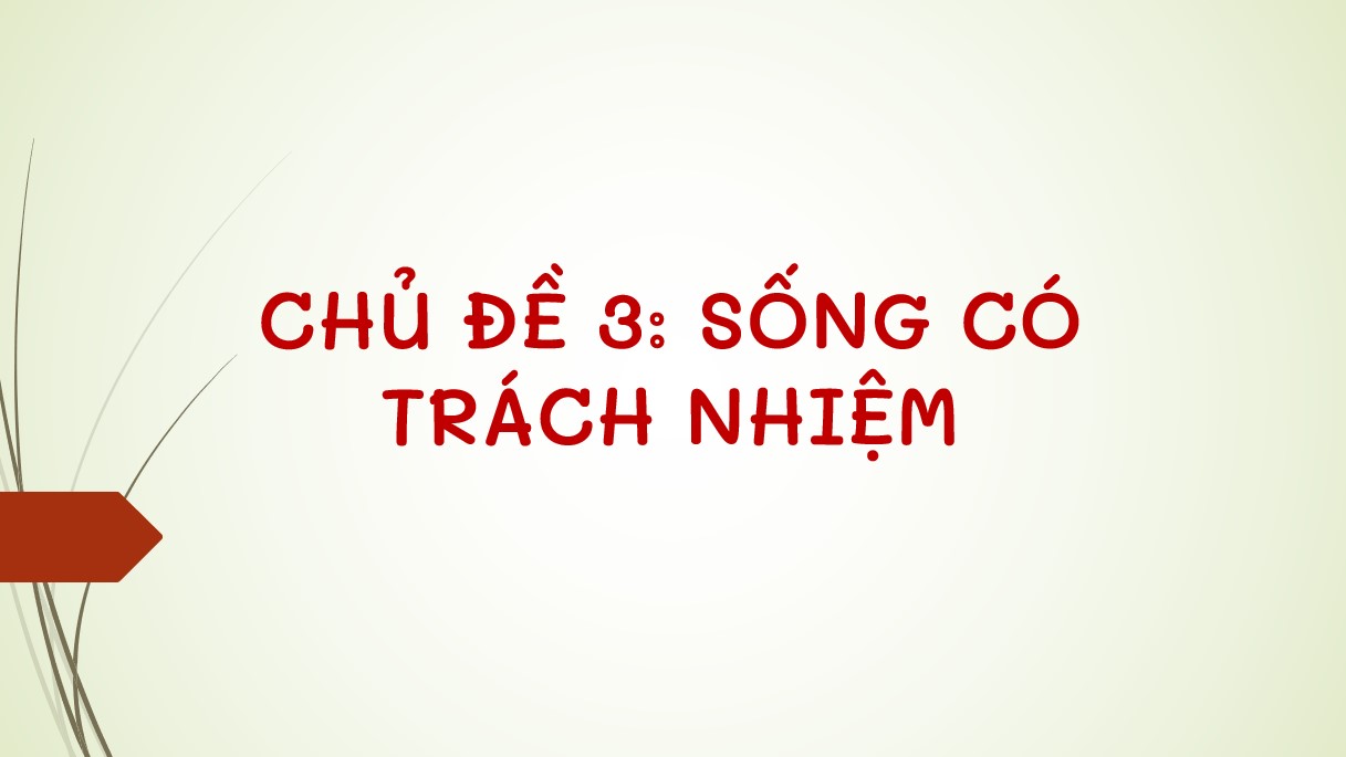 Giáo án PPt Hoạt động trải nghiệm 8 Cánh Diều - chủ đề 3