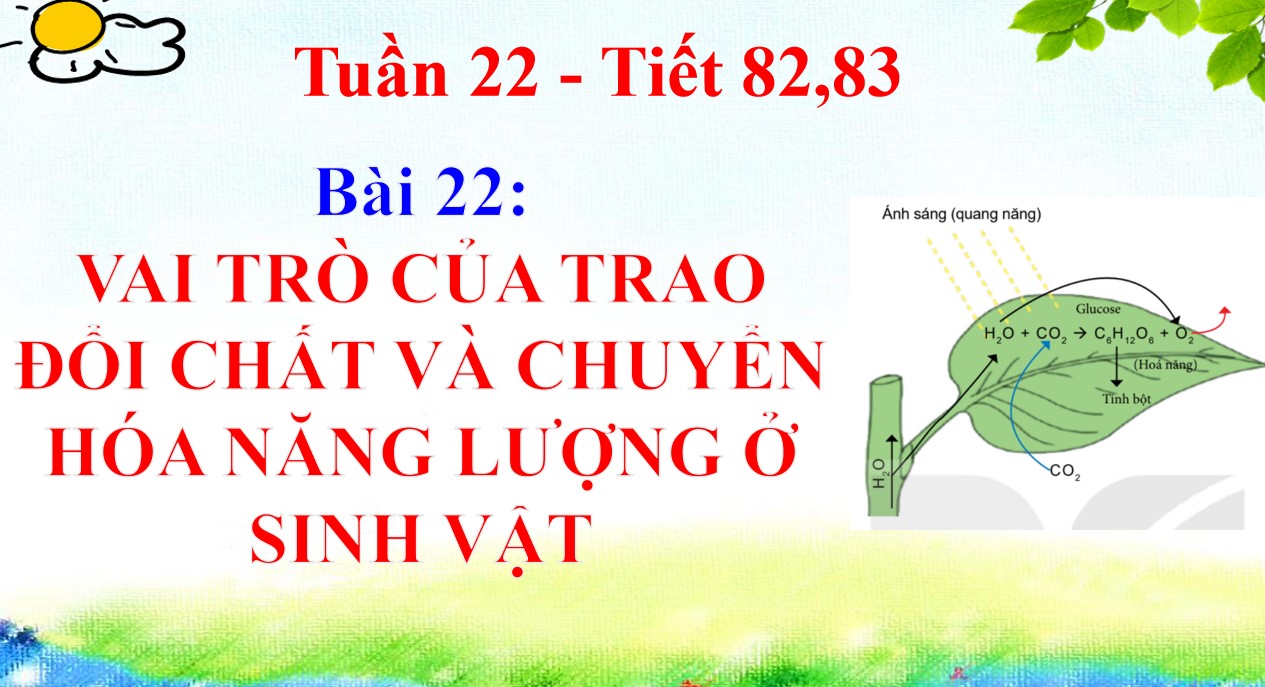 Giáo án PPt Sinh học 7 CTST bài 22