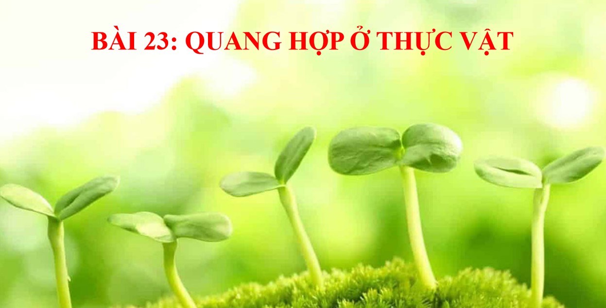 Giáo án PPt Sinh học 7 CTST bài 23