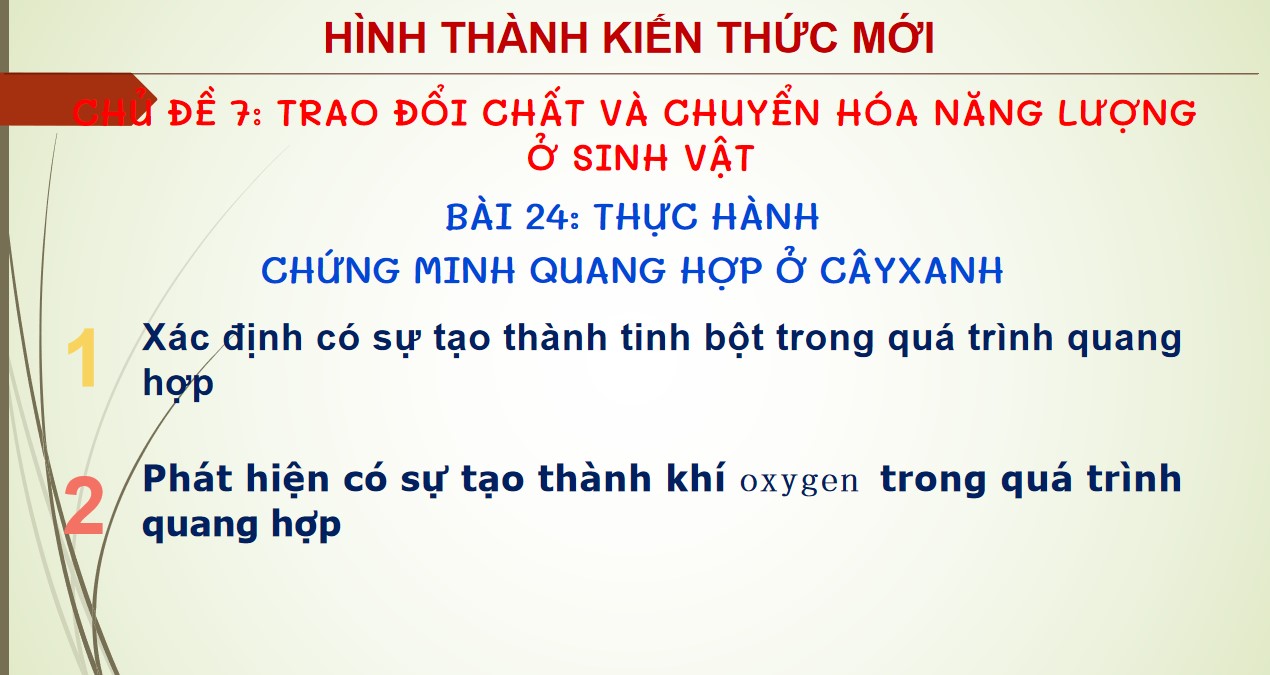 Giáo án PPt Sinh học 7 CTST bài 24