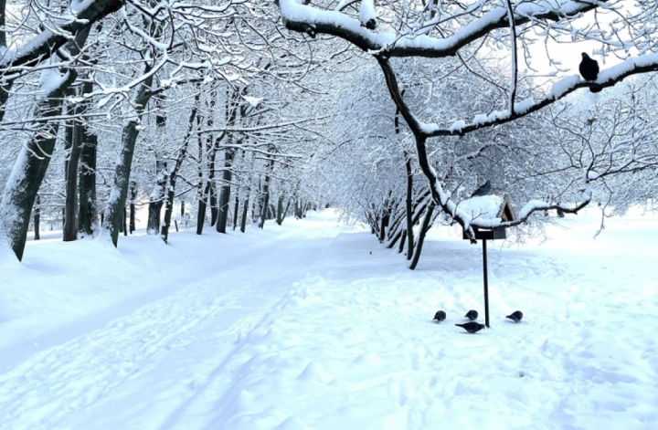 Soạn Văn 11 trang 61-64 Kết nối tri thức tập 1