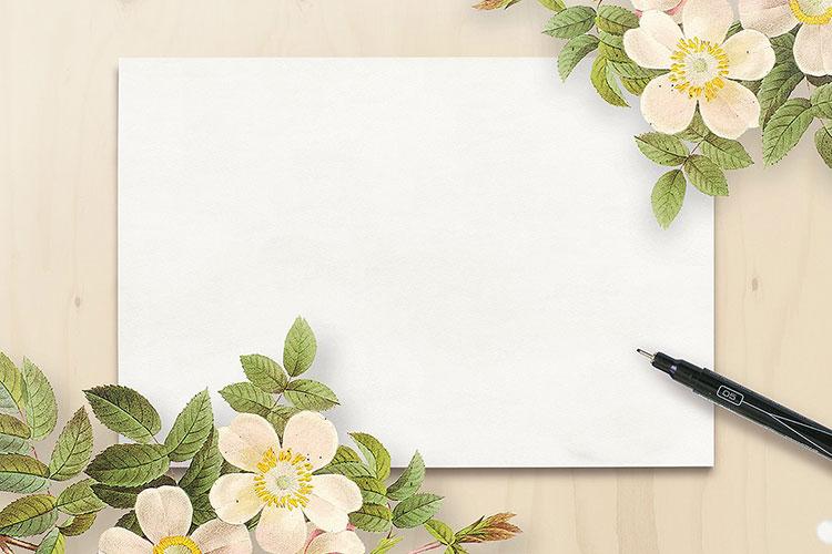 Hình nền PowerPoint 20/10