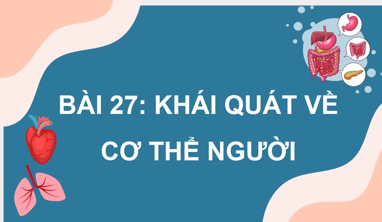 Giáo án PPt Sinh học 8 Cánh Diều bài 27