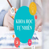 TOP 10 Đề thi giữa kì 1 Khoa học tự nhiên 6 Chân trời sáng tạo 2023-2024 Có đáp án