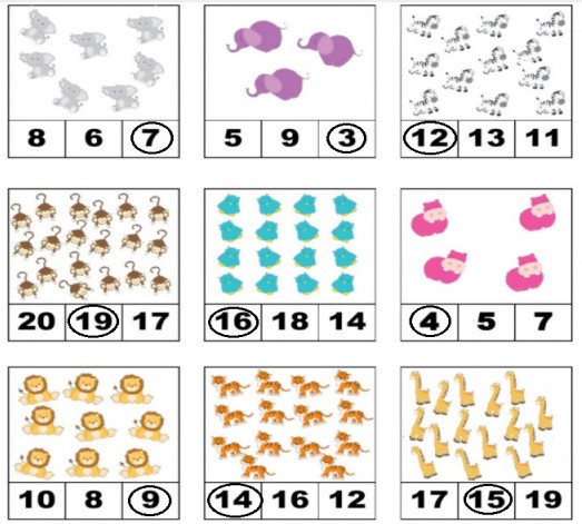 Đề thi Toán học kì 1 lớp 1 Cùng học để phát triển