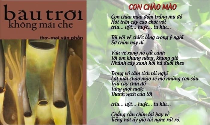 Soạn bài Con chào mào