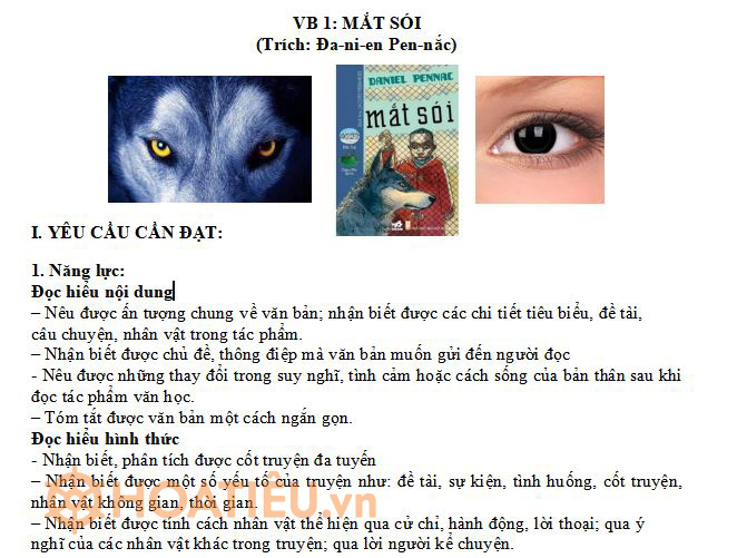 Giáo án Ngữ văn 8 Kết nối tri thức với cuộc sống 2023-2024 cả năm