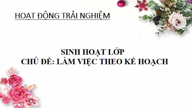 Chuyên đề sinh hoạt lớp 3
