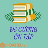 Đề cương ôn thi cuối kì 1 Giáo dục Kinh tế và Pháp luật 11 năm 2025 - 2026 (Sách mới)