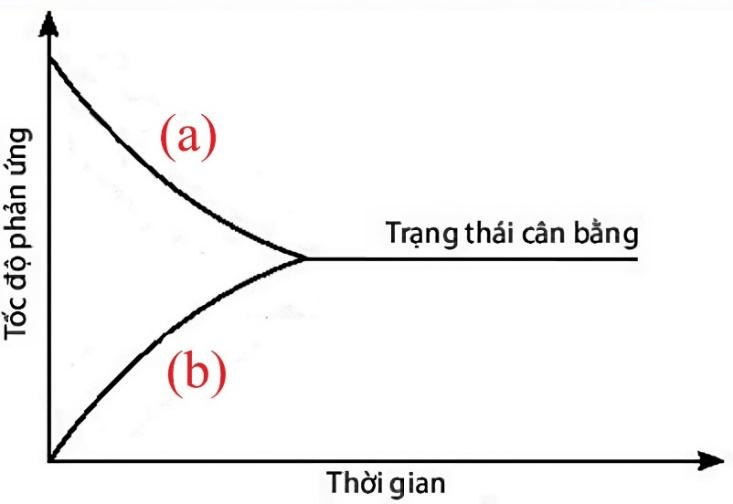 Đề ôn tập kiểm tra thường xuyên Hóa học 11 Kết nối tri thức