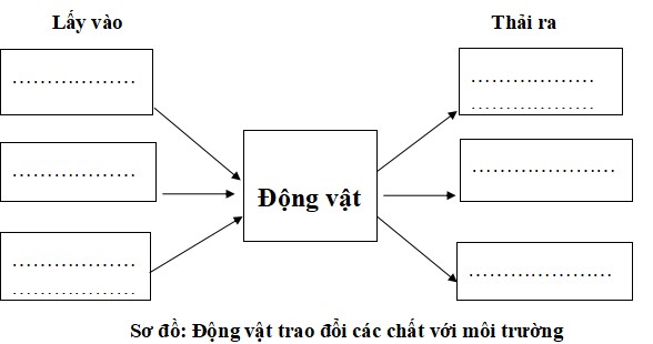 Đề thi học kì 1 lớp 4 môn Khoa học Cánh Diều