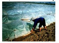 Đề kiểm tra khoa học lớp 4 cuối kì 1 có đáp án