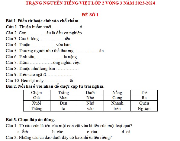 Đề thi Trạng nguyên Tiếng Việt lớp 2 năm 2023-2024