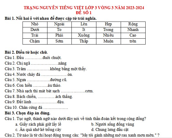 Đề thi Trạng nguyên Tiếng Việt lớp 3 năm 2023-2024