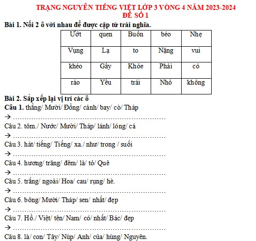 Đề thi Trạng nguyên Tiếng Việt lớp 3 năm 2023-2024