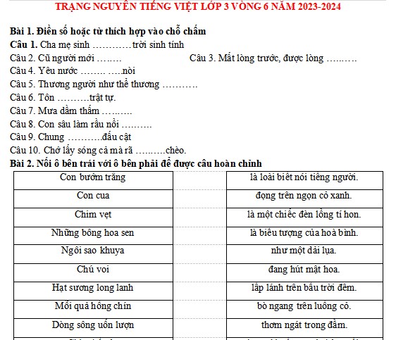 Đề thi Trạng nguyên Tiếng Việt lớp 3 năm 2023-2024
