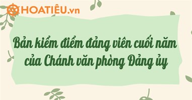 Báo cáo kiểm điểm đảng viên cuối năm của Chánh văn phòng Đảng ủy 2024