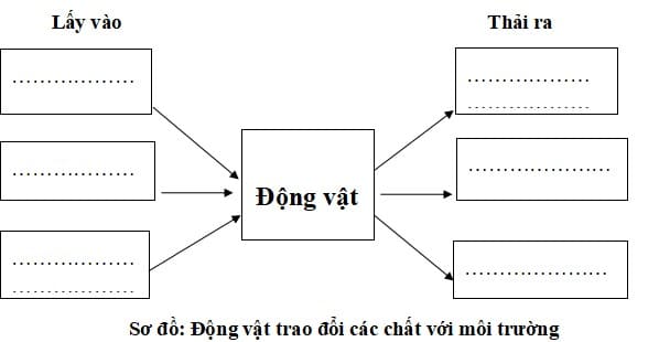 Đề thi học kì 1 lớp 4 môn Khoa học Kết nối tri thức