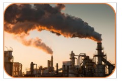 Đề thi kì 1 môn Khoa học lớp 4 Chân trời sáng tạo