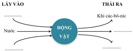 Đề thi kì 1 môn Khoa học lớp 4 Chân trời sáng tạo
