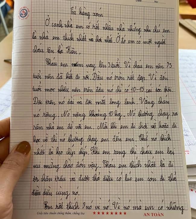  Bài văn tả ngoại hình một mà em thường gặp của học sinh lớp 5