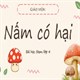 Giáo án STEM lớp 4: Nấm có hại (Powerpoint, Word)