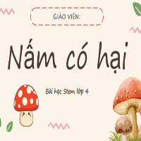 Giáo án STEM lớp 4: Nấm có hại (Powerpoint, Word)