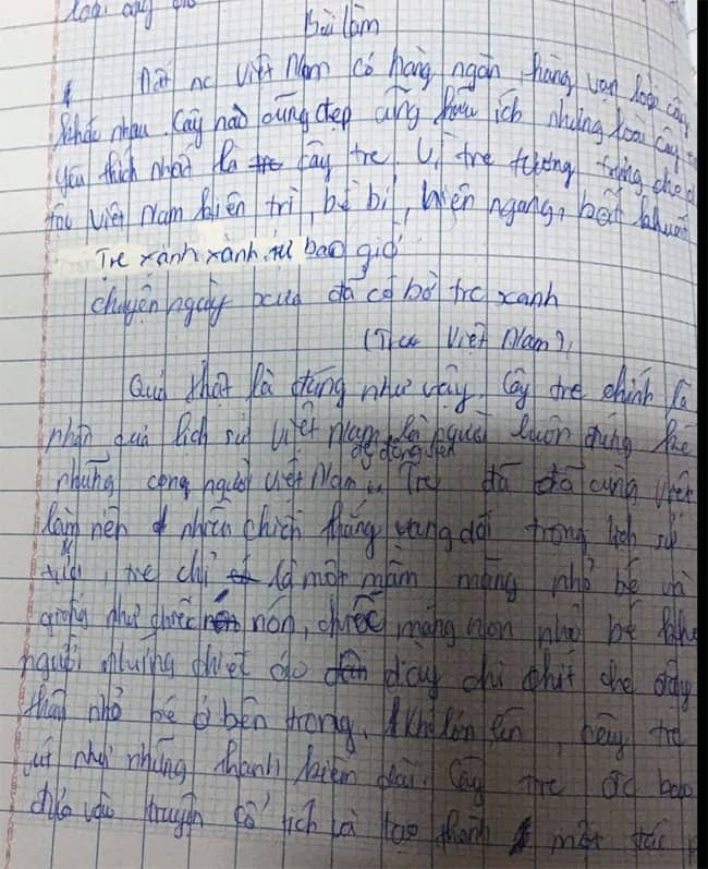 Bài văn Cảm nhận về hình ảnh cây tre Việt Nam