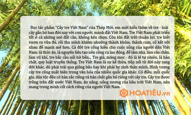 Cảm nhận của em về hình ảnh cây tre trong tác phẩm Cây tre Việt Nam