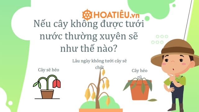 Giáo án STEM lớp 4: Bình tưới cây thông minh file Powerpoint 