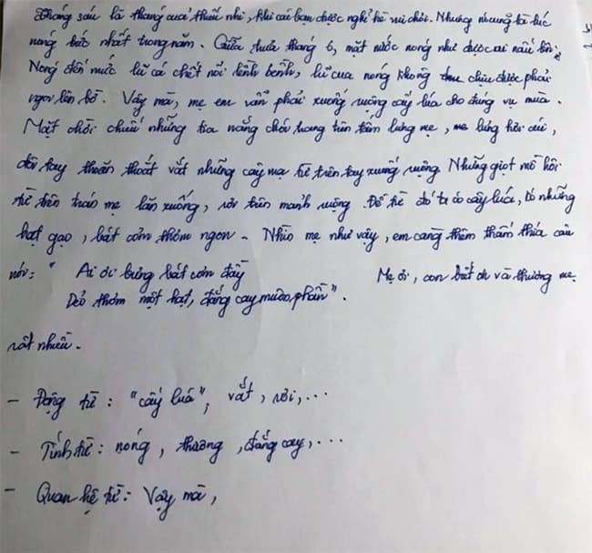 Đoạn văn tả người mẹ cấy lúa giữa trưa tháng 6 nóng bức