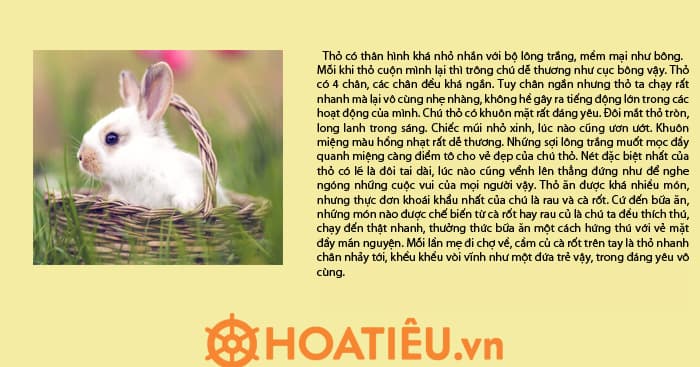 Tả ngoại hình của một con vật
