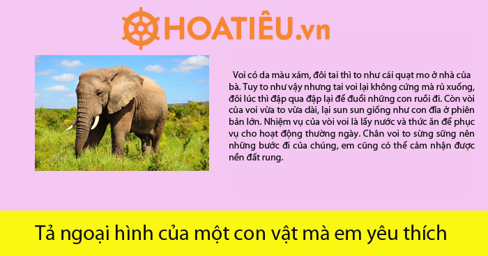 Tả ngoại hình của một con vật em yêu thích lớp 4