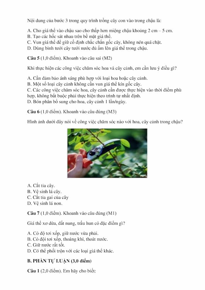 de thi hoc ki 1 mon cong nghe lop 4 chan troi sang tao 2*357439