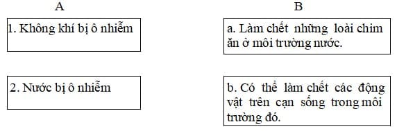 Đề thi Khoa học lớp 5 học kì 1 có đáp án