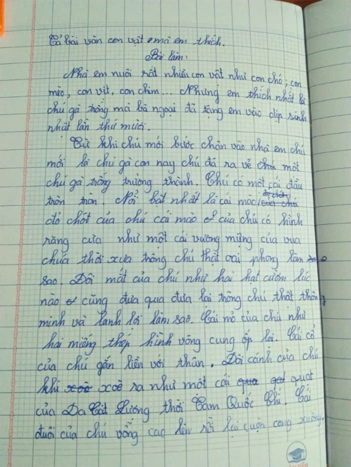 Miêu tả một con vật mà em đã chăm sóc và gắn bó